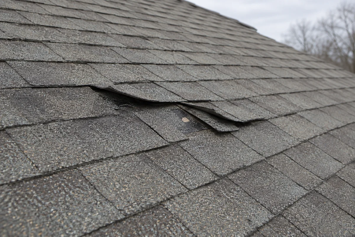AI-generated illustration: A small group of lifted and creased shingles within an otherwise intact roof.